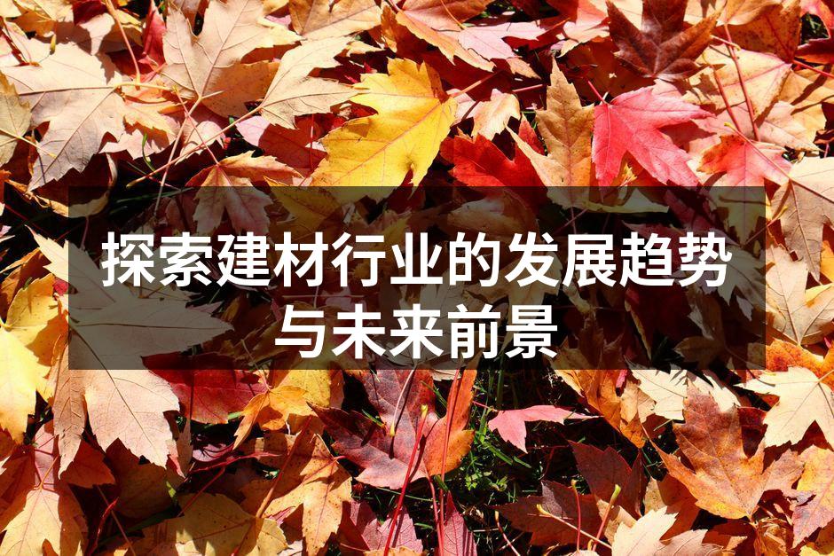 探索建材行业的发展趋势与未来前景