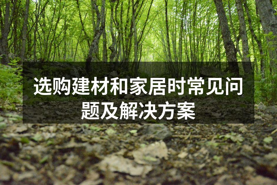优质建材助力家居装饰